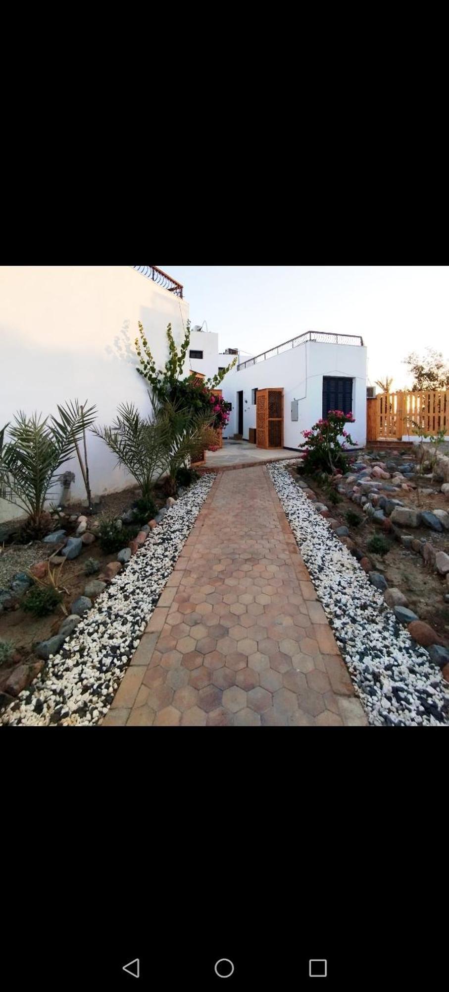 Abouseif Guest House Sharm el-Sheikh Rum bild